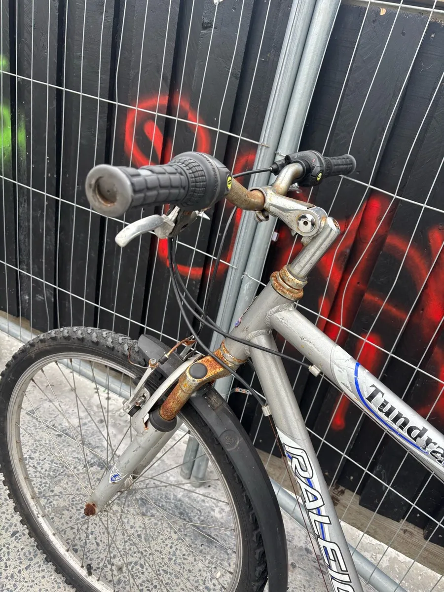 Raleigh bike - Image 2