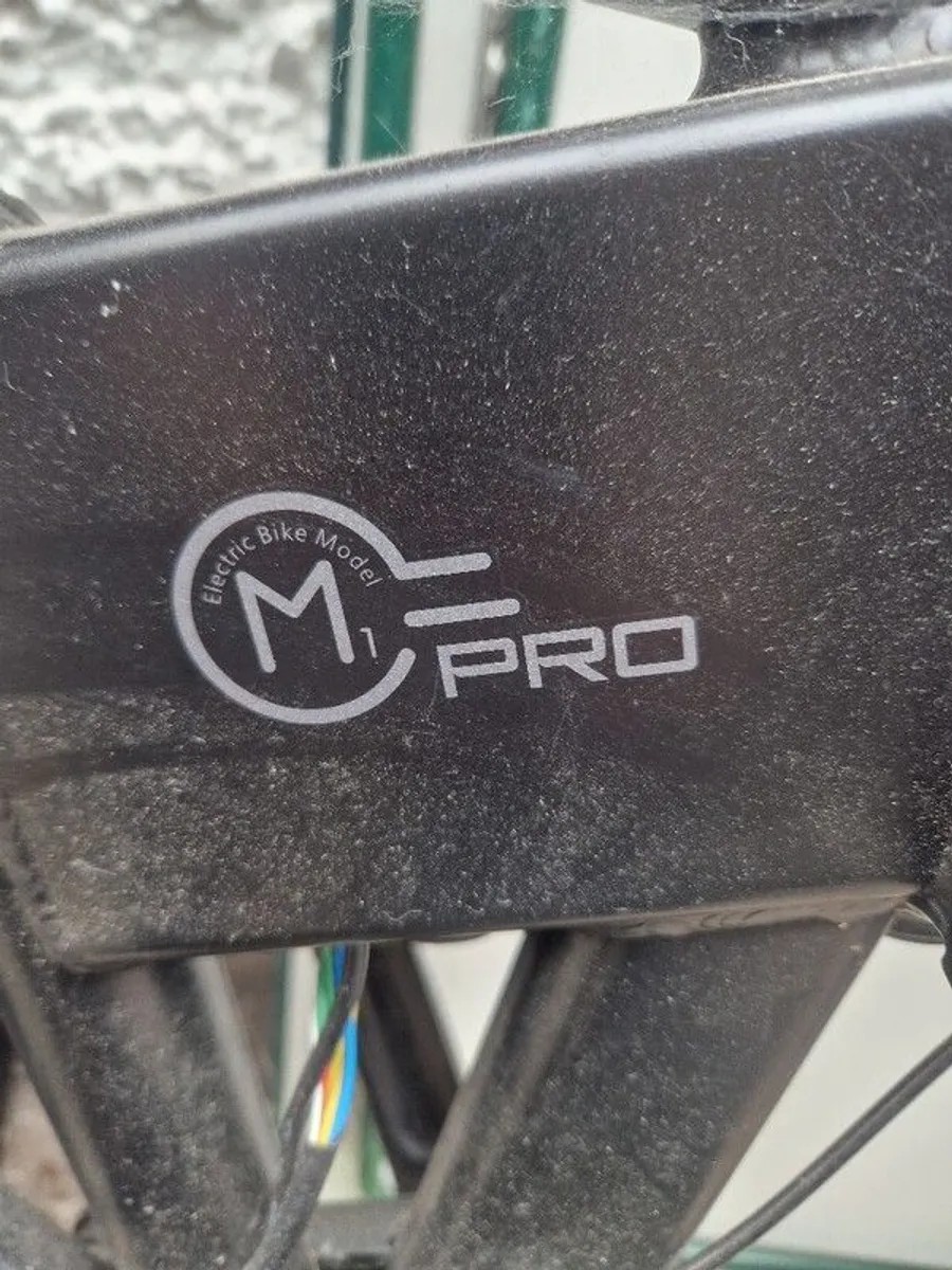 Fiido M1 Pro Fat Tyre Electric Bike - Image 3