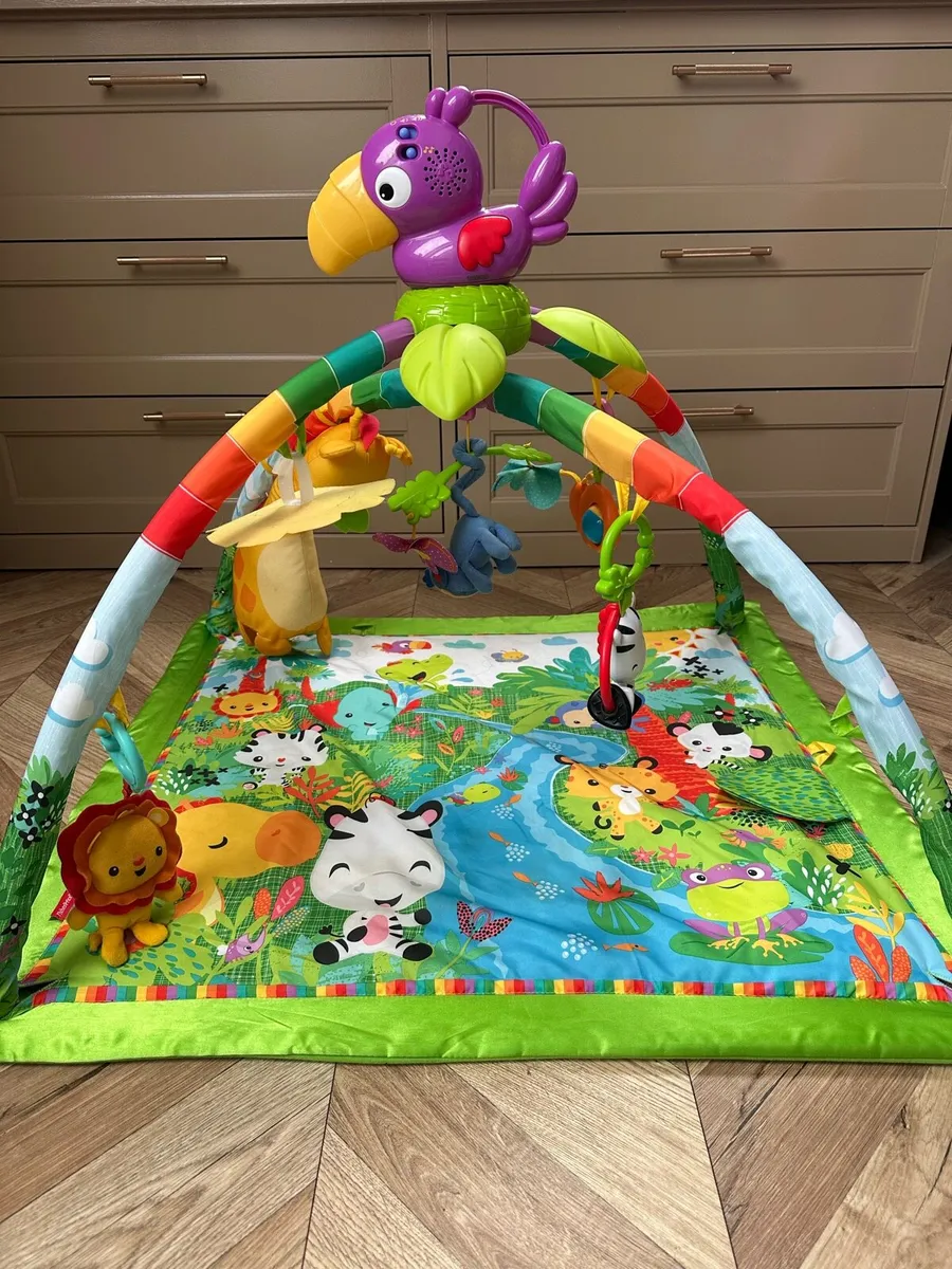 Fisher Price Deluxe Mobile Gym - Image 1