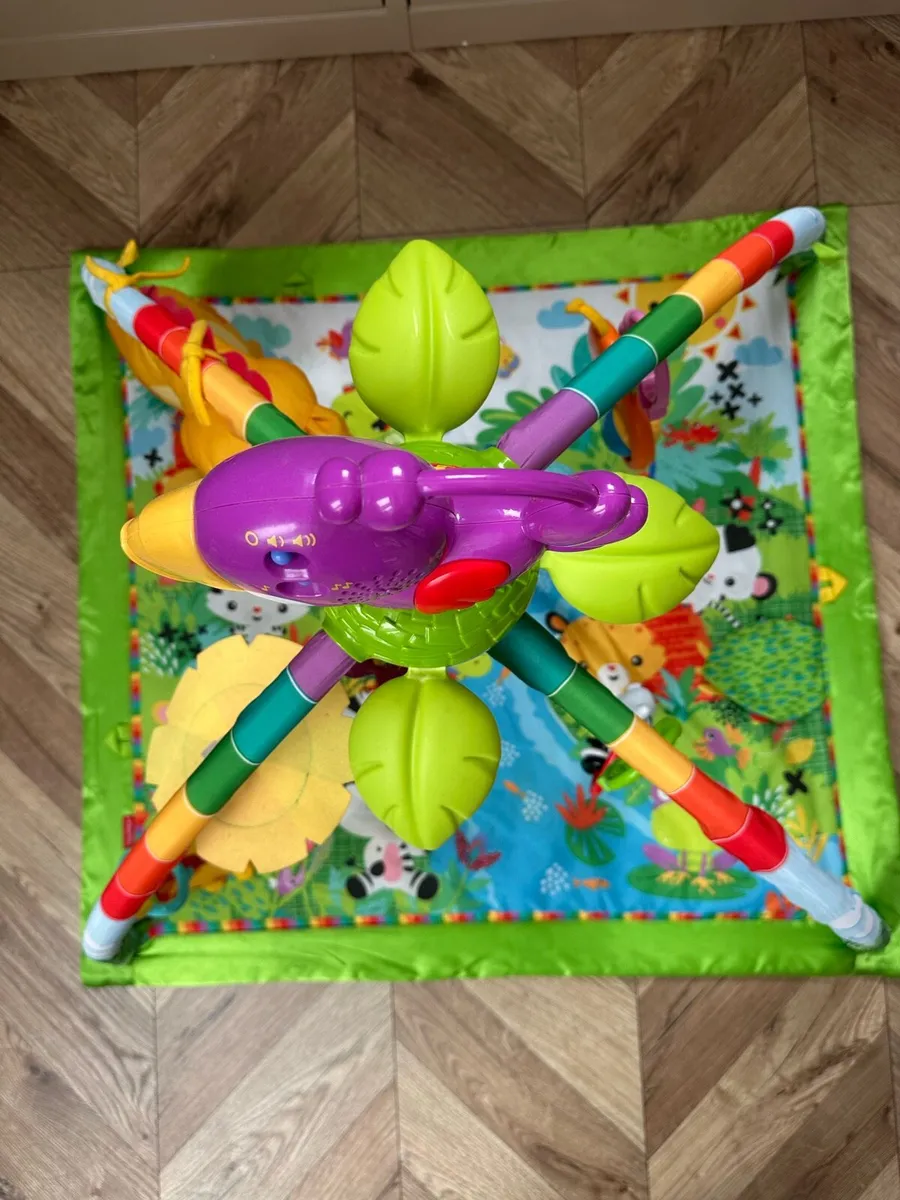 Fisher Price Deluxe Mobile Gym - Image 2