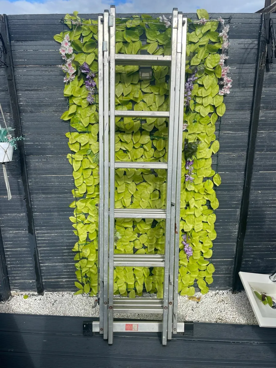 Ladders, Pole Carrier and Roof Rack - Image 4
