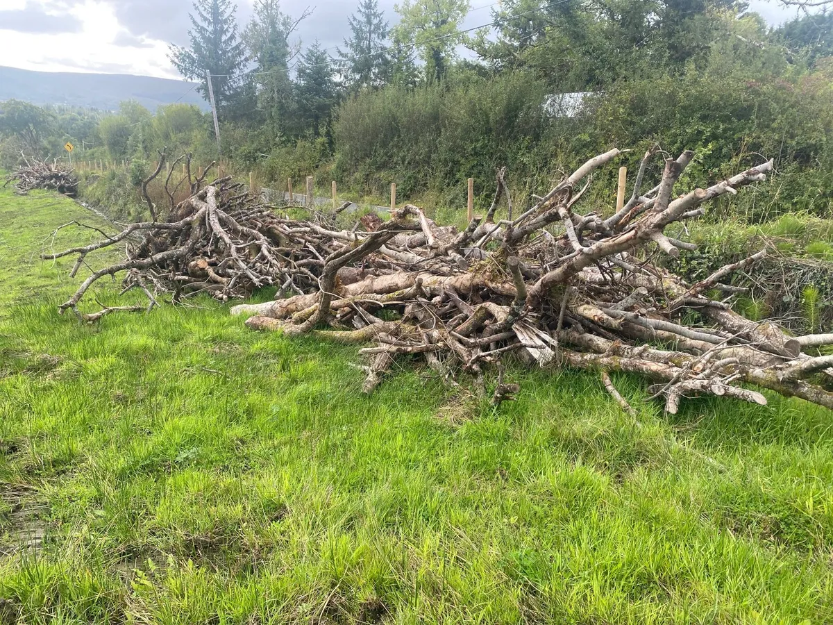 Firewood