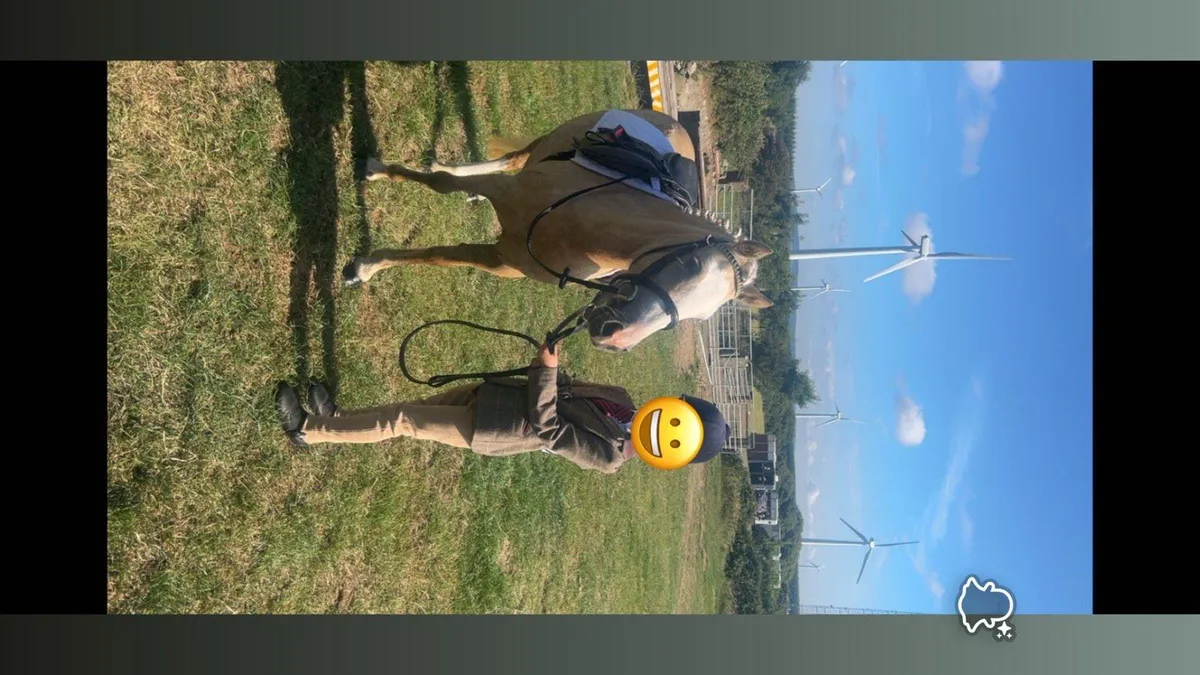 Pony - Image 3