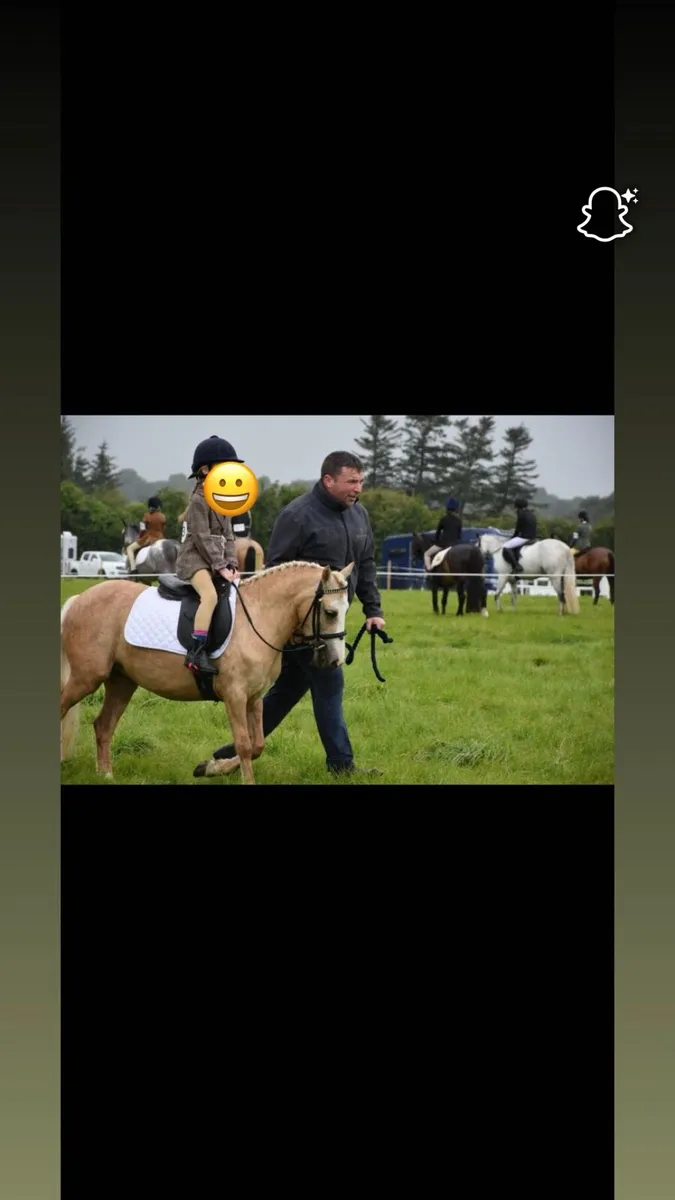 Pony - Image 1