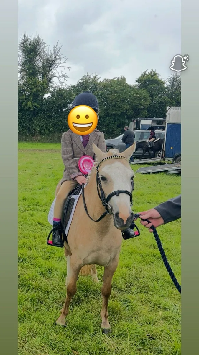 Pony - Image 4