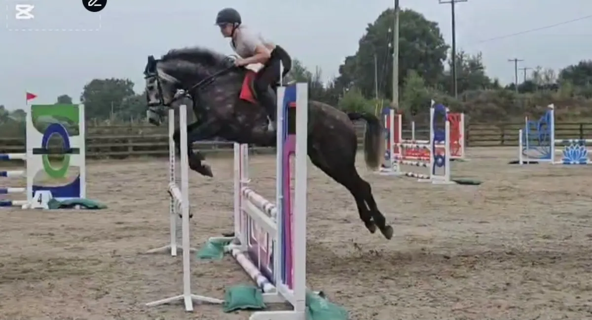 5yo 148 - Image 2