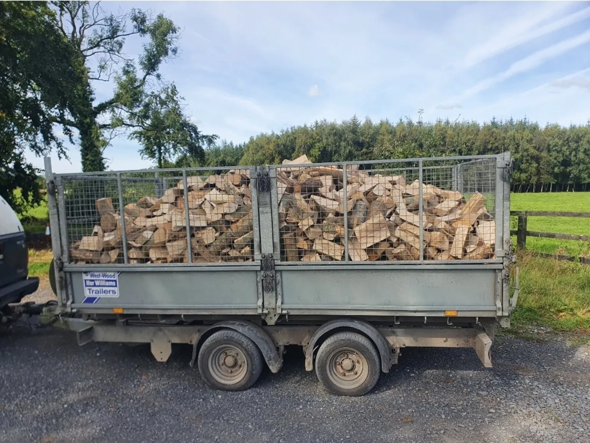Firewood - Image 1