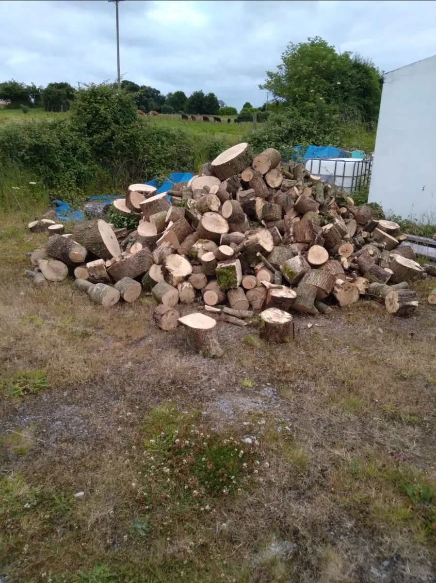 Firewood - Image 3