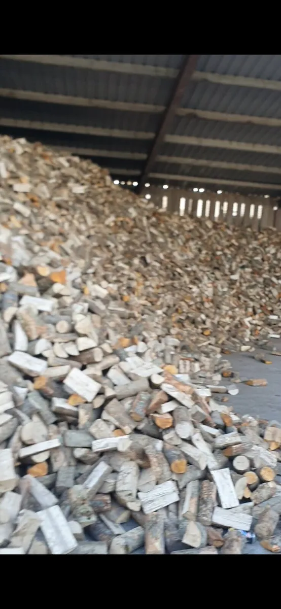 Firewood - Image 4