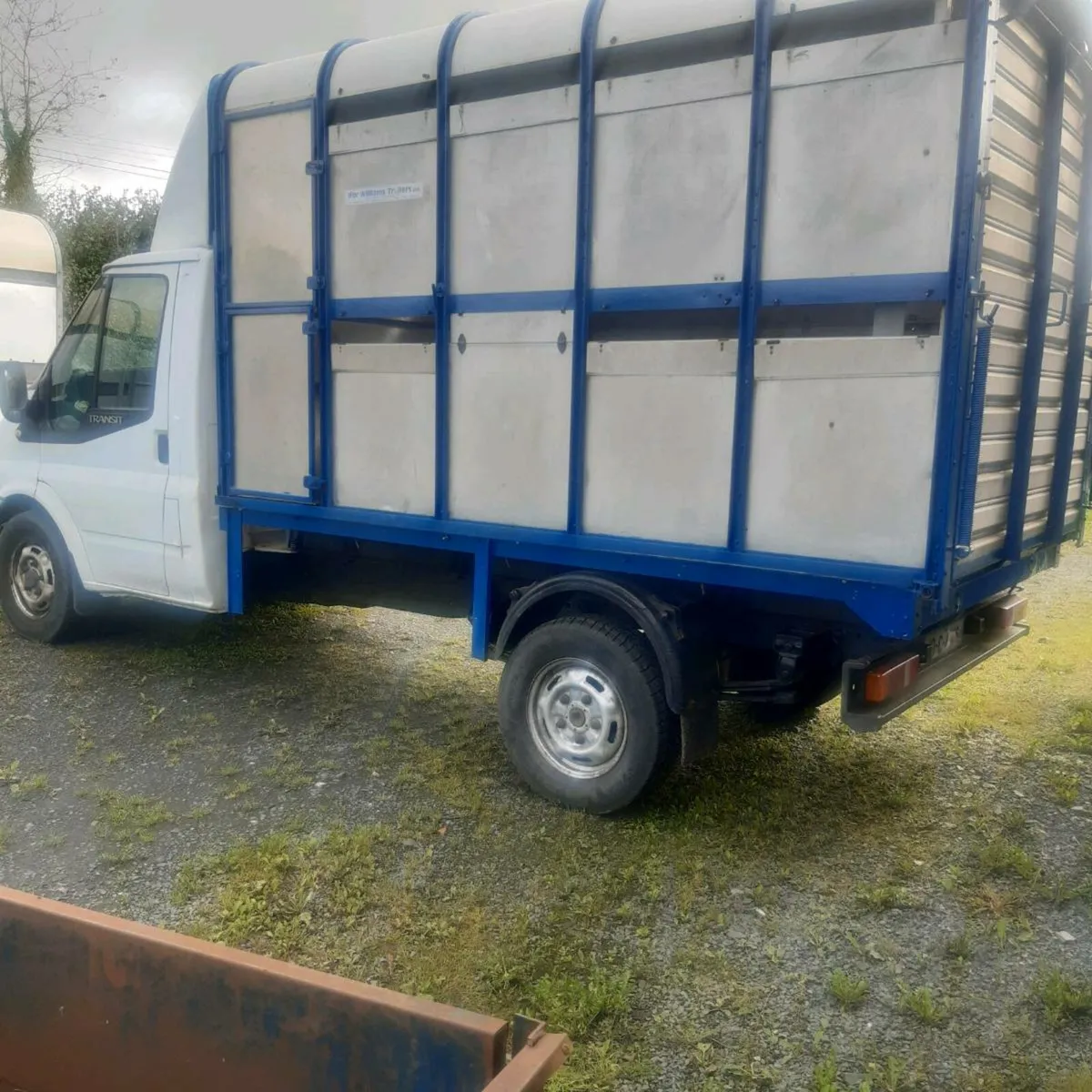 Ford Transit Cattle Truck - Image 2