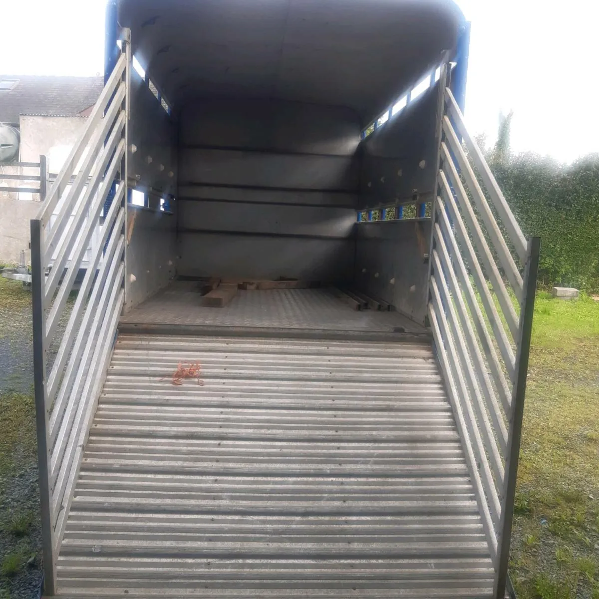 Ford Transit Cattle Truck - Image 3