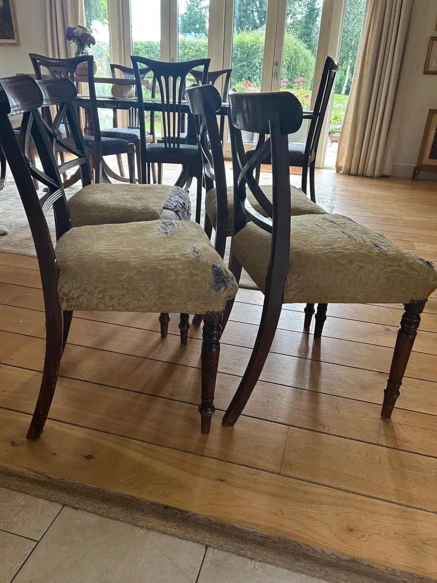 Dining chairs - Image 1