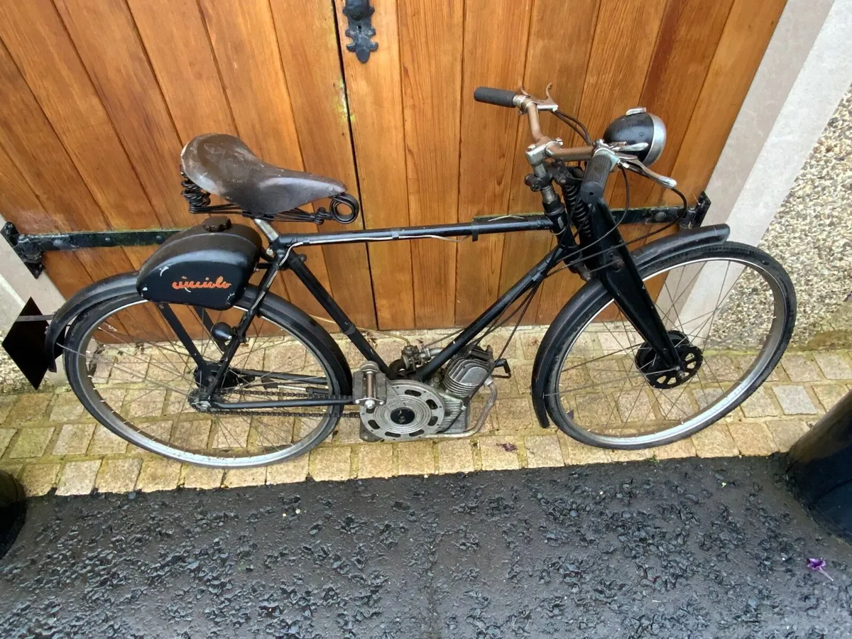 1953 Ducati Cucciclo - Image 3