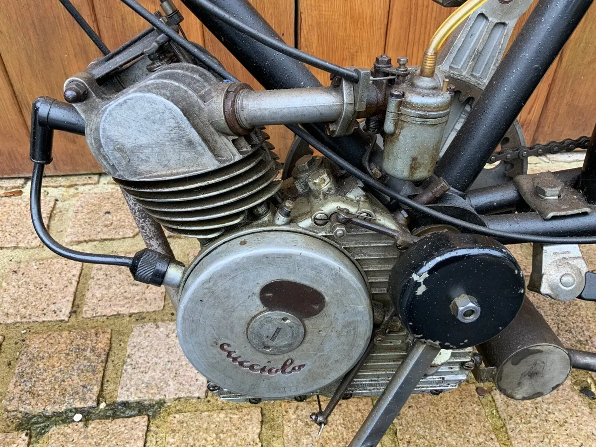 1953 Ducati Cucciclo - Image 4
