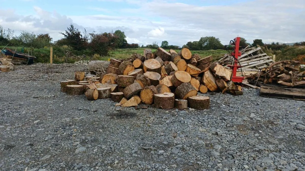 Timber - Image 2