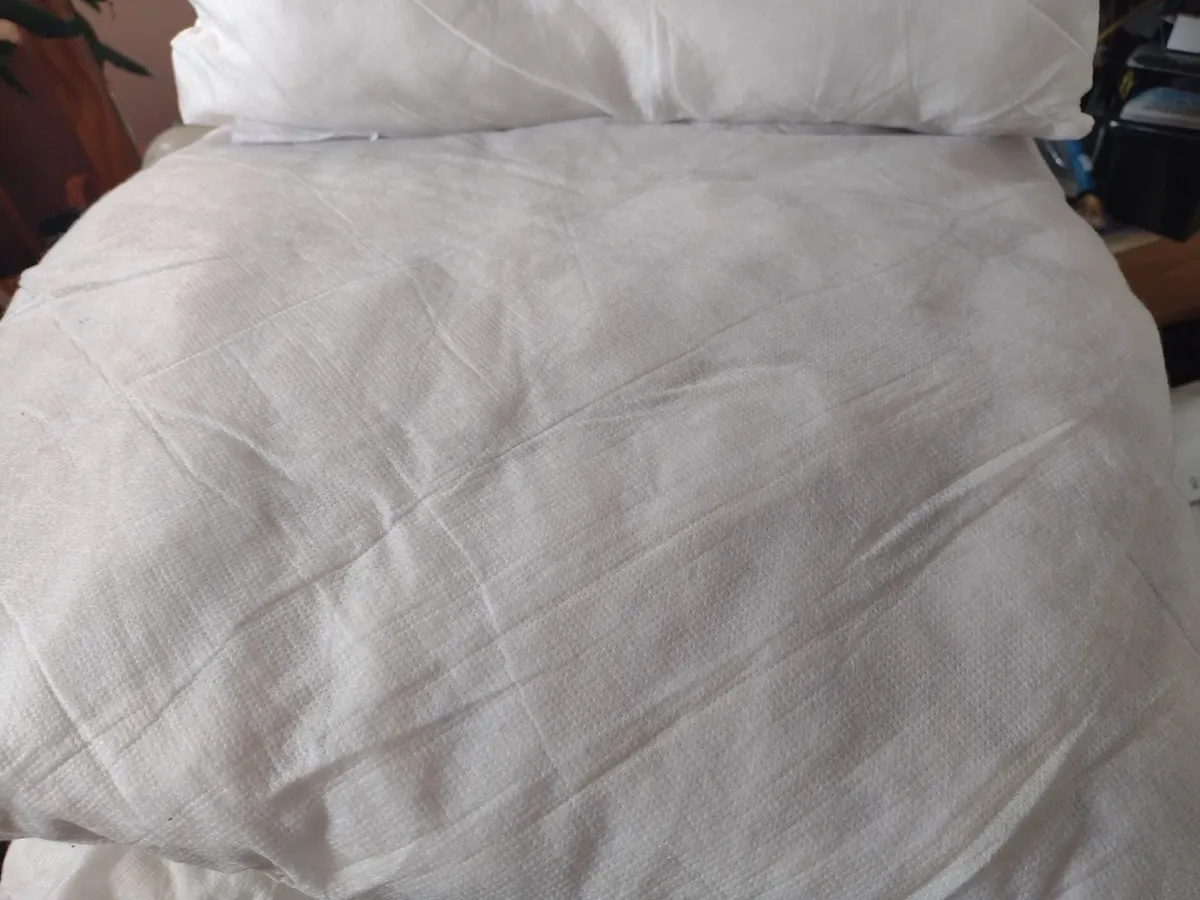 Cushion inserts - Image 2