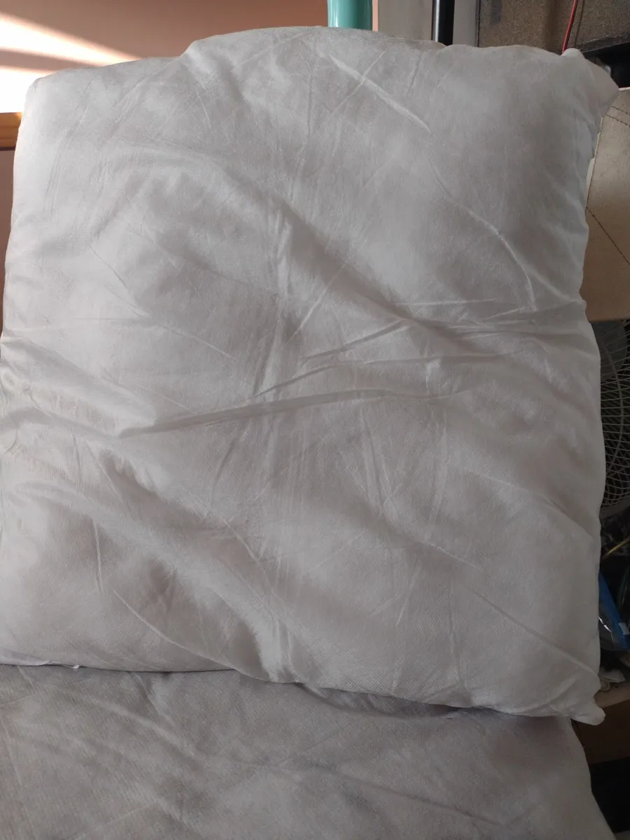 Cushion inserts - Image 1