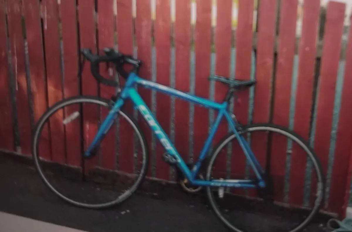 Korera racing bike - Image 2