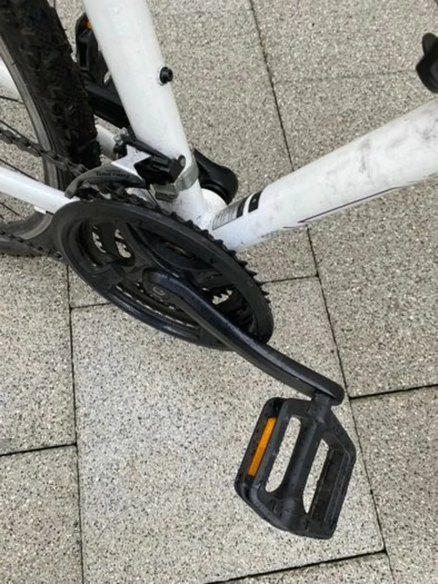 Bike - Image 2