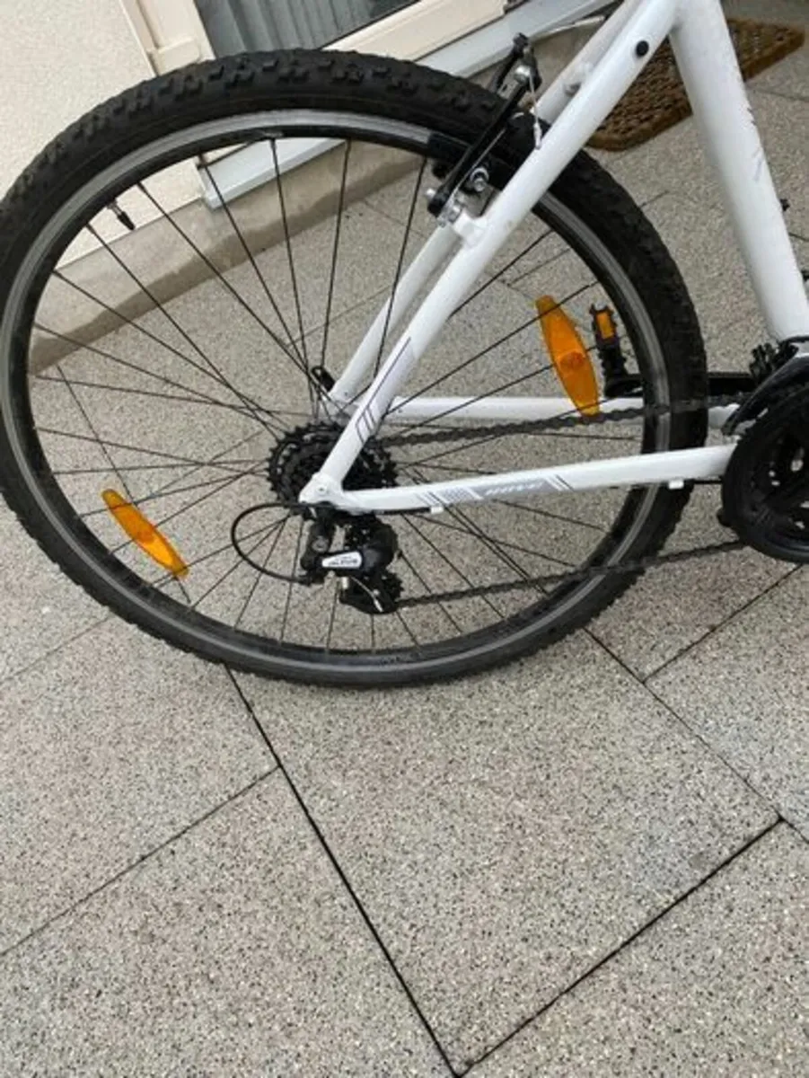 Bike - Image 3