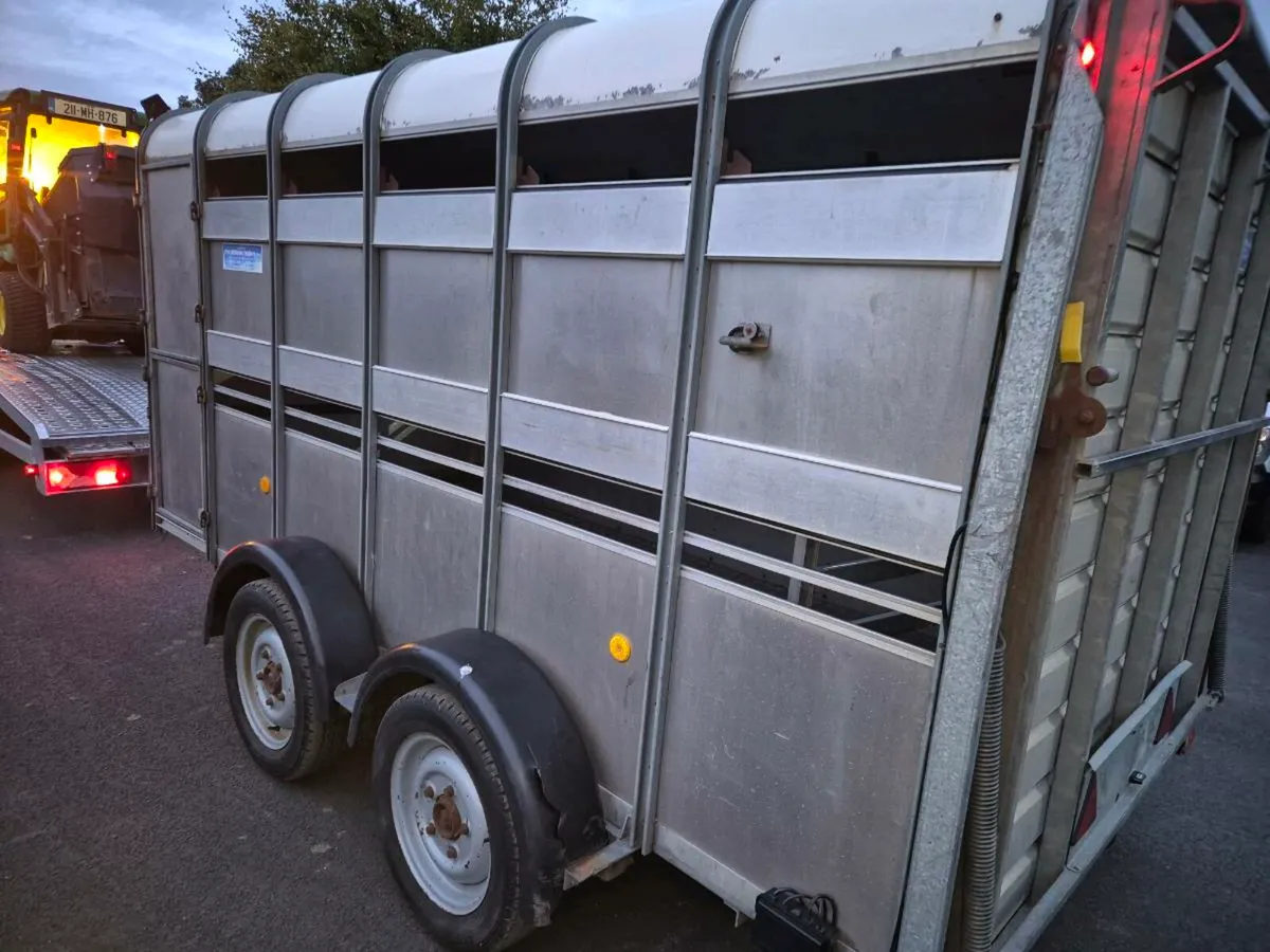 14ft cattle Trailer - Image 1