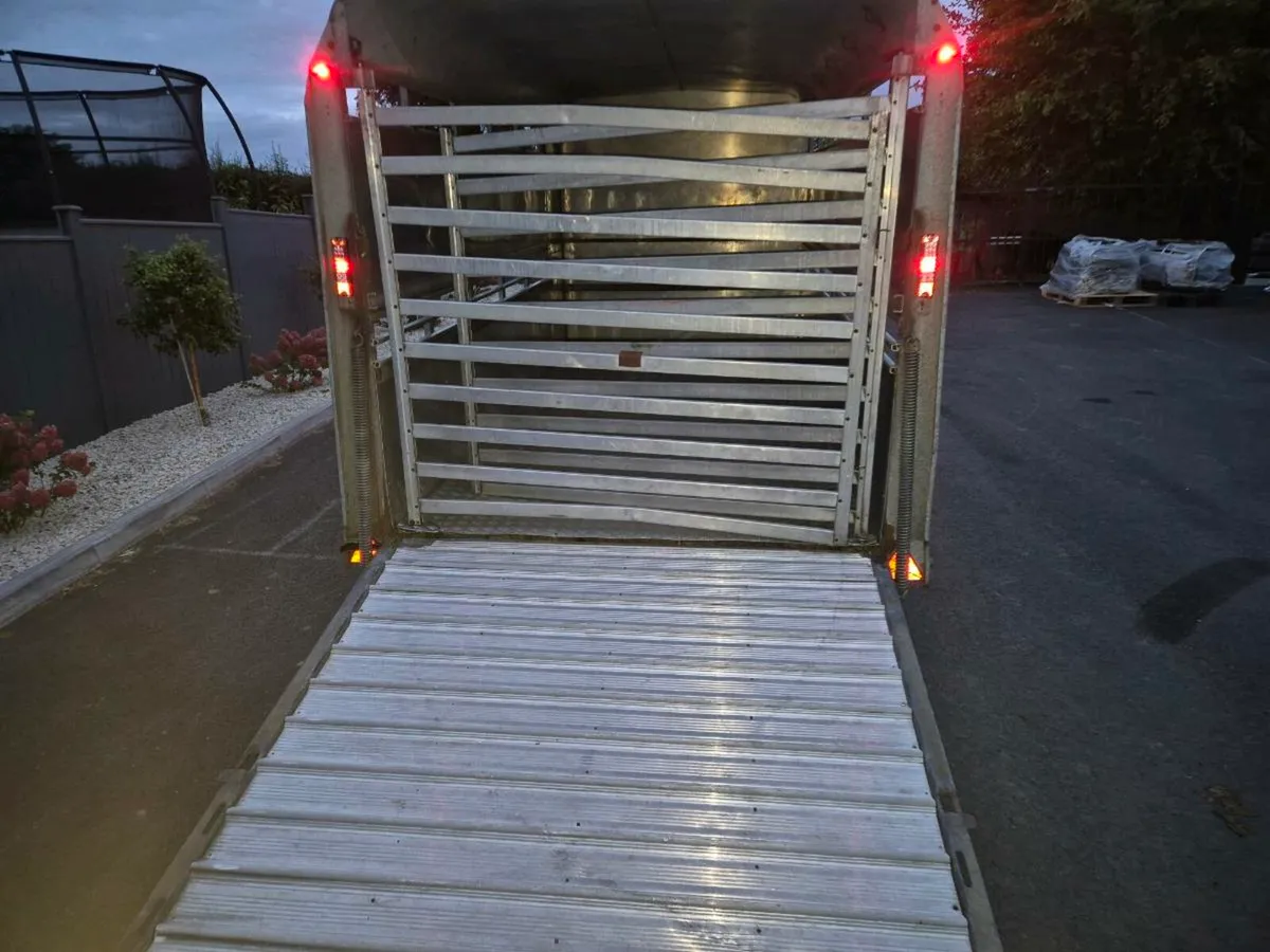 14ft cattle Trailer - Image 2