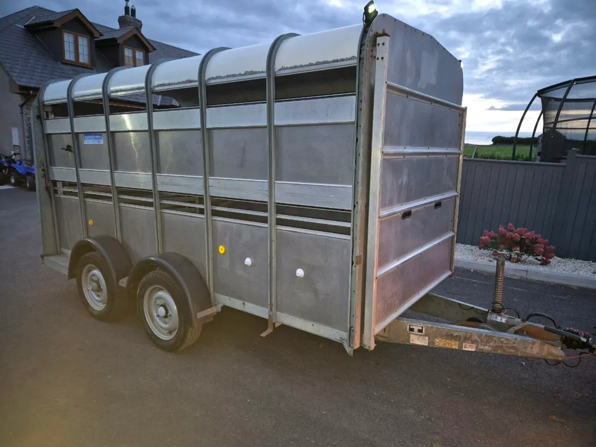 14ft cattle Trailer - Image 4
