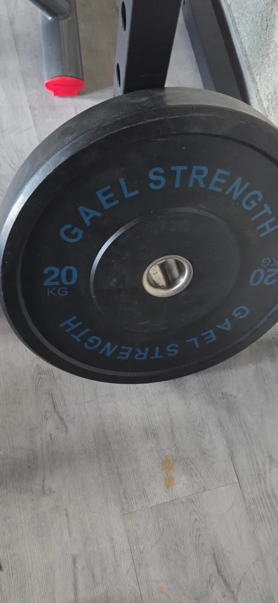 Gym Equipment - Image 3