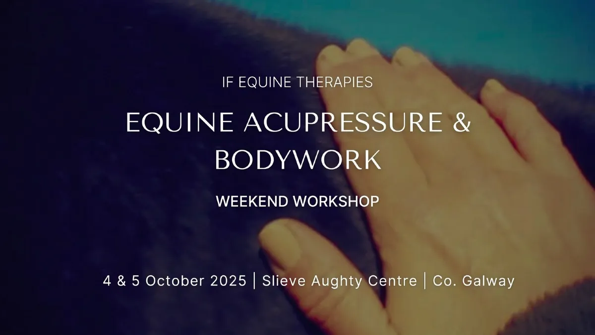 Equine Acupressure & Bodywork - Weekend Workshop - Image 1