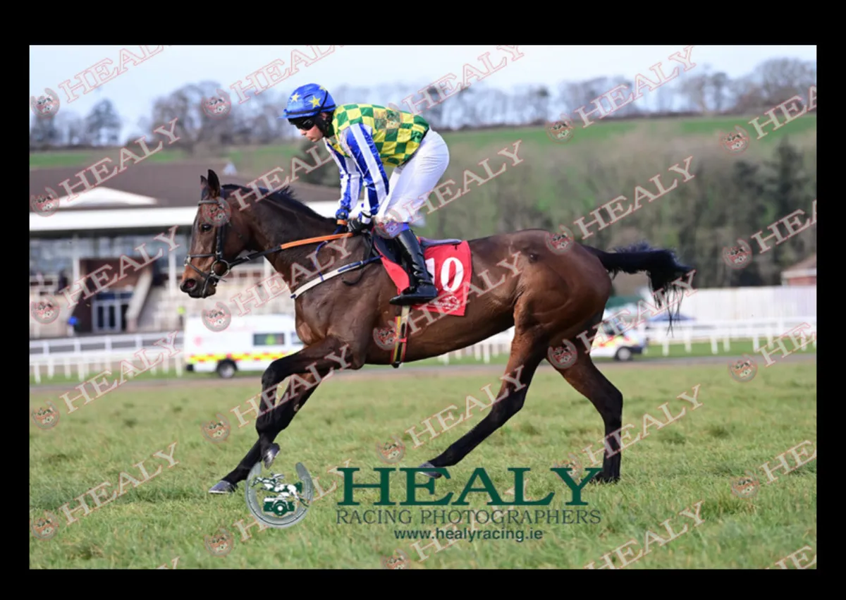 Racehorse Fit & Ready To Run - Image 1