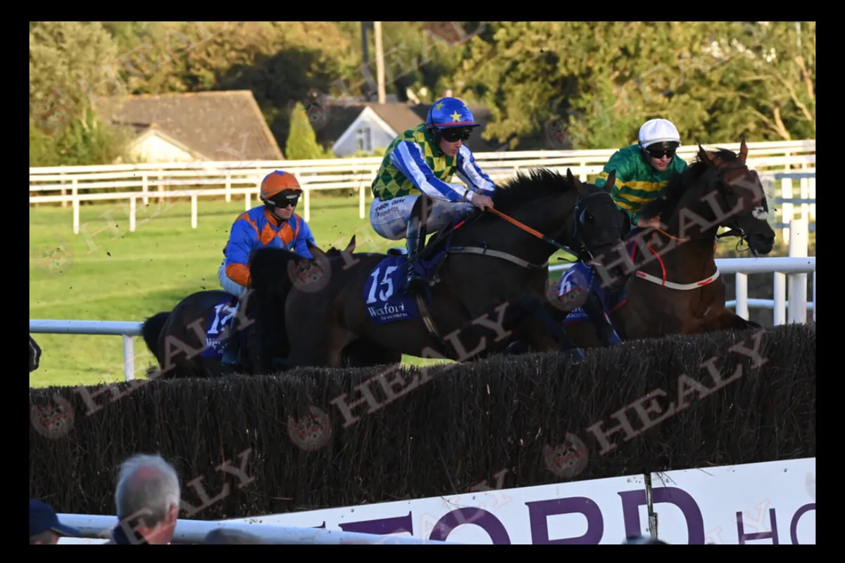 Racehorse Fit & Ready To Run - Image 2