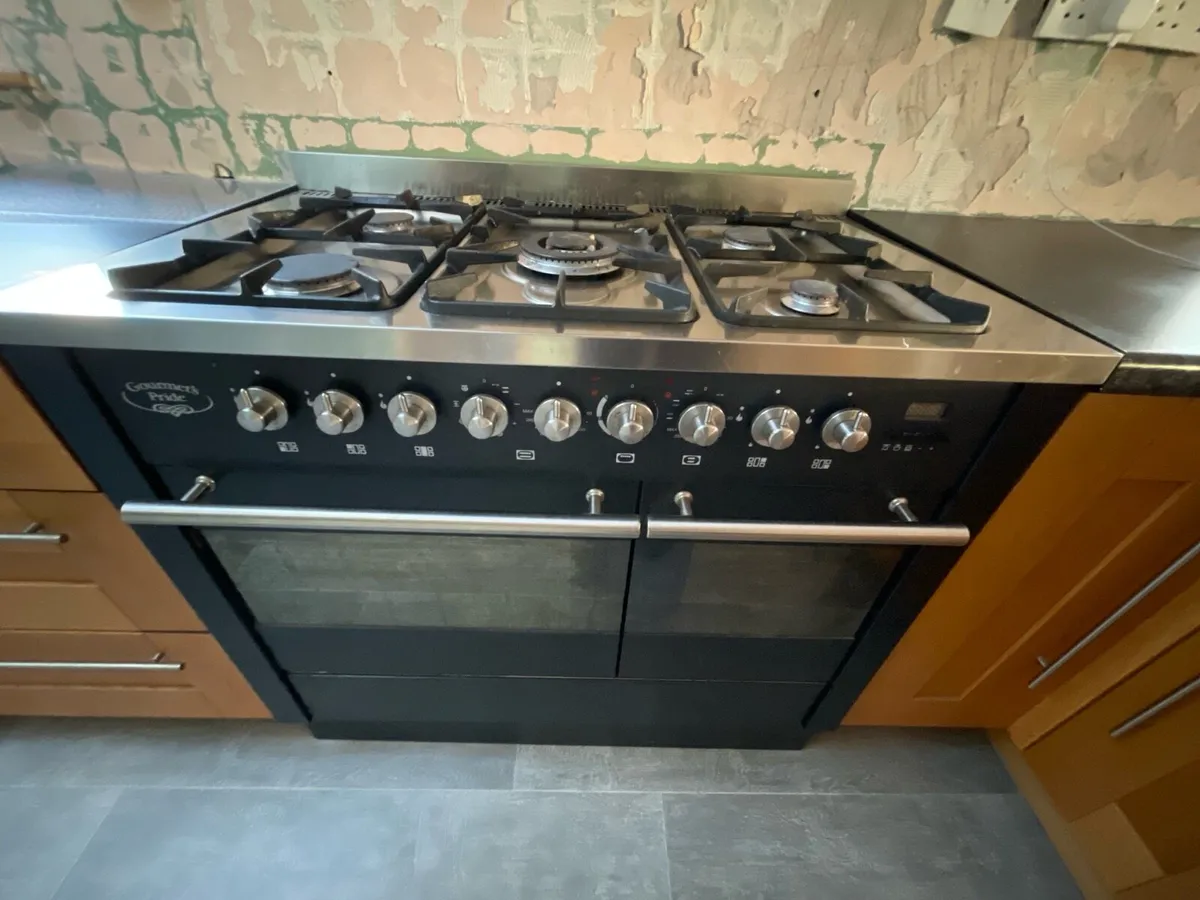 Dual Fuel Gourmet’s pride cooker. - Image 1