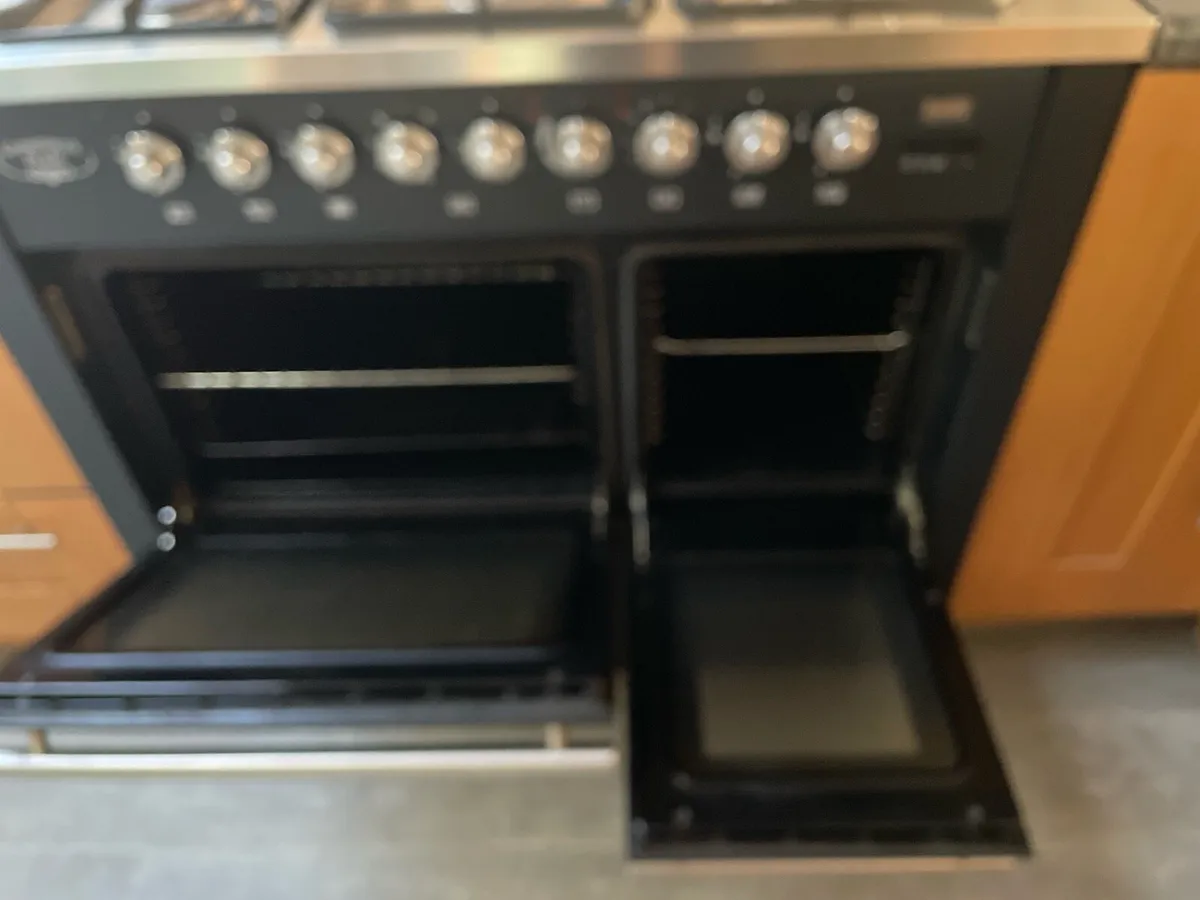 Dual Fuel Gourmet’s pride cooker. - Image 2