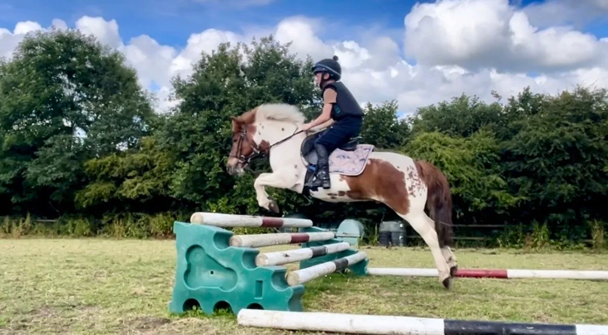 11.2 pony - Image 2