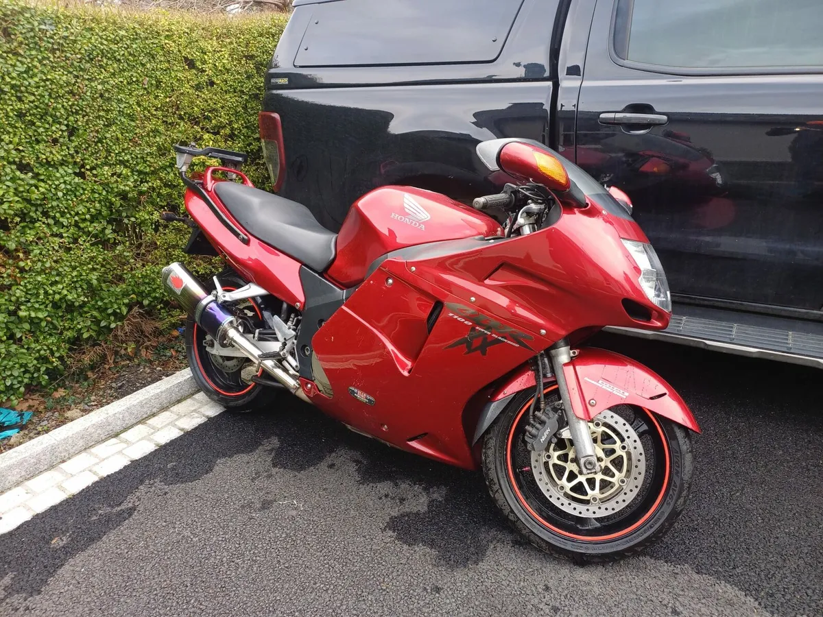 Honda Blackbird - Image 3
