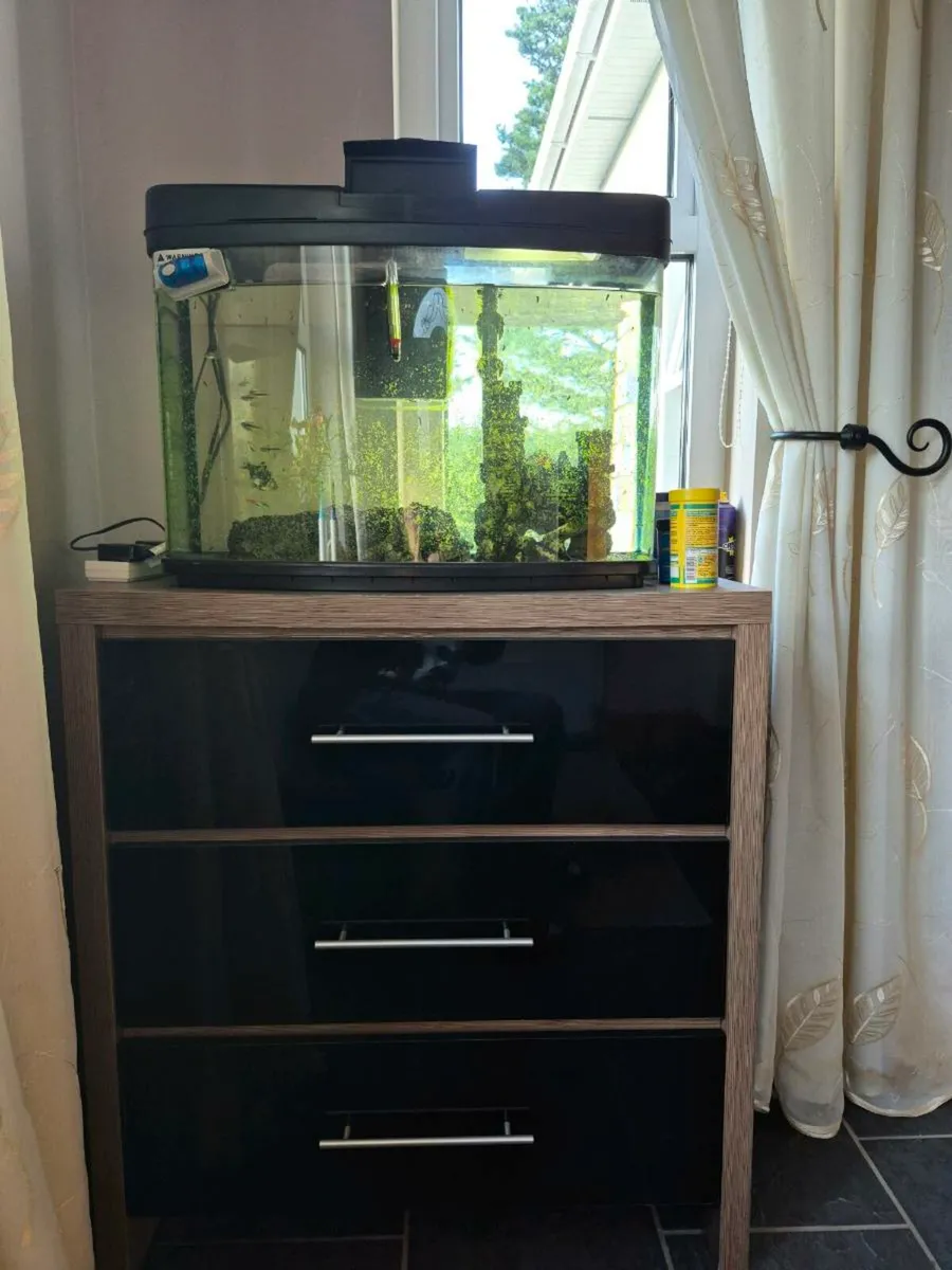 Fish tank