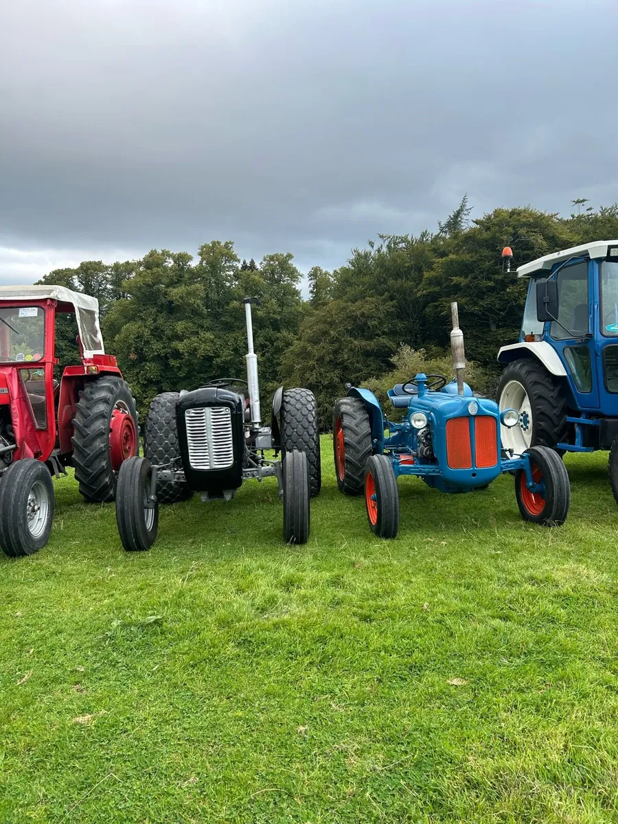 Fordson dexta - Image 3