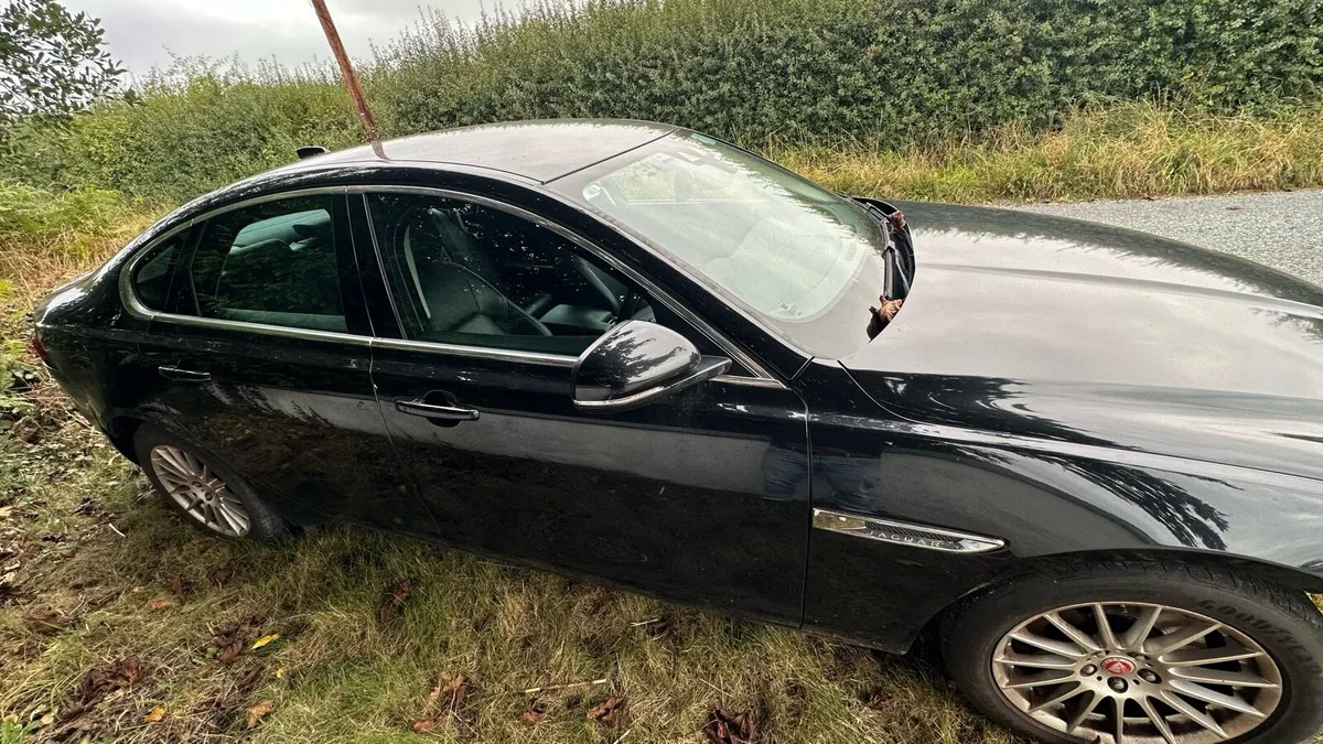 Jaguar XF 2016 2.0 Diesel - Image 2