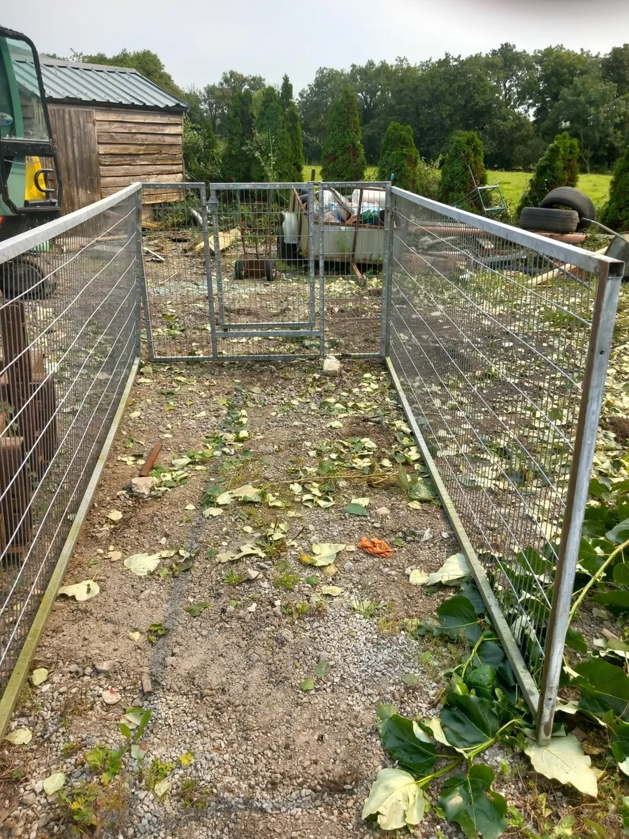 Dog run - Image 2