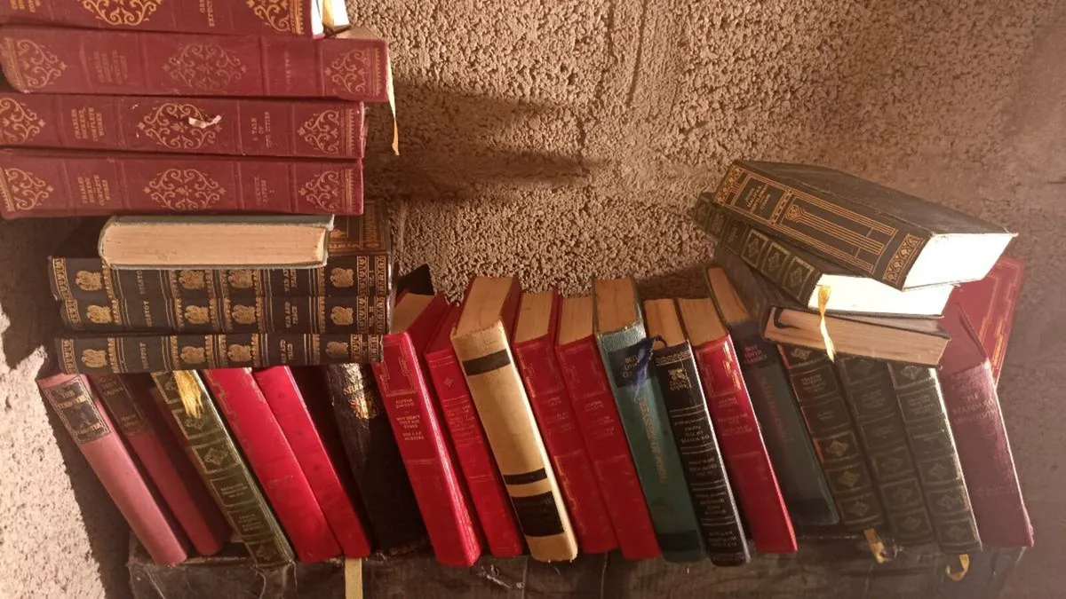 Large collection of books - Image 1