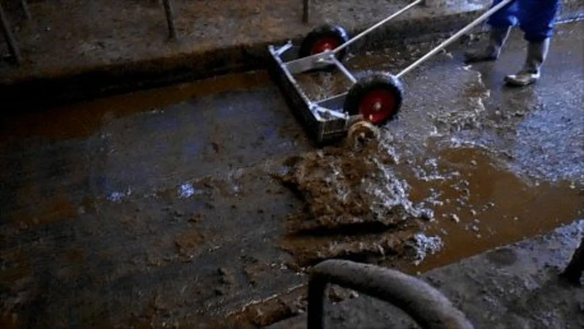 Hand Push Yard Scrapers With Wheels ..Free Deliver - Image 3