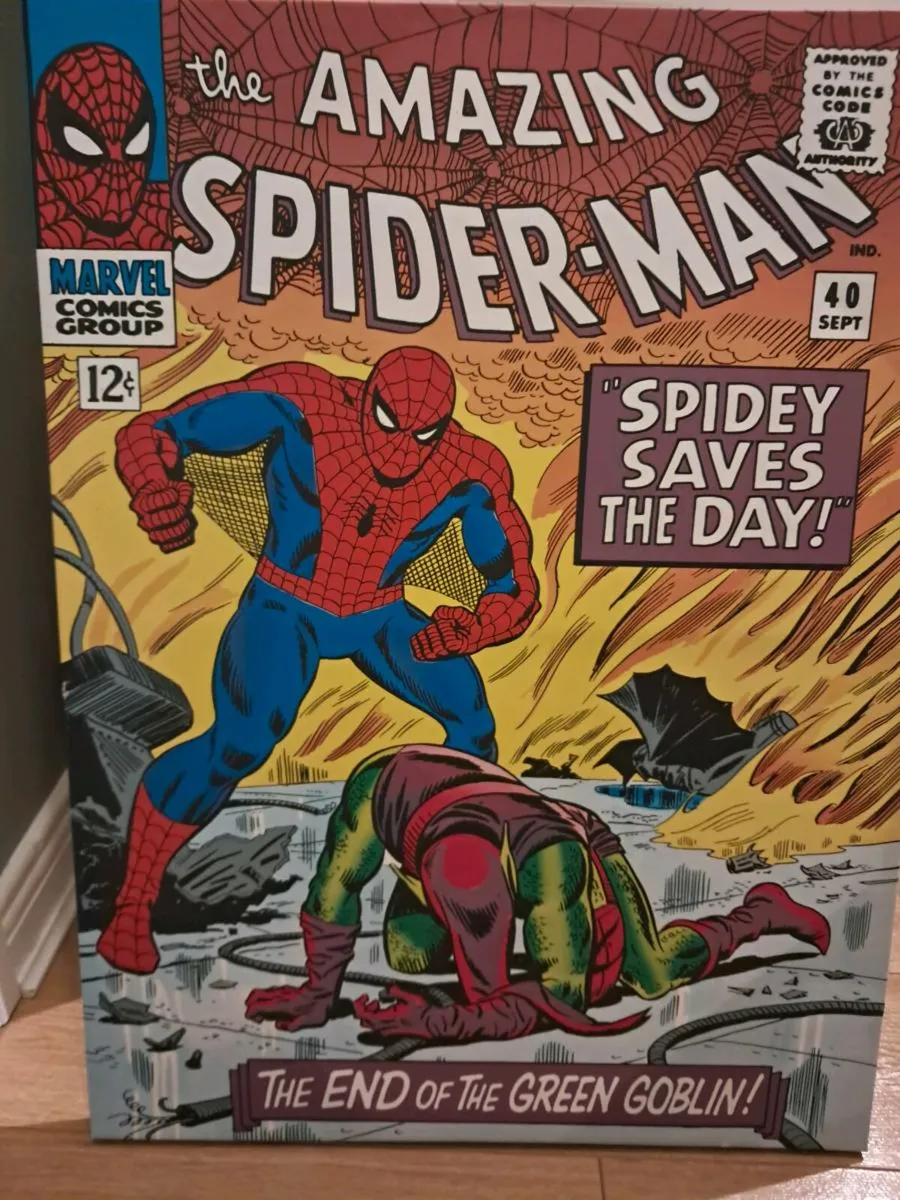Spiderman Picture - Image 2