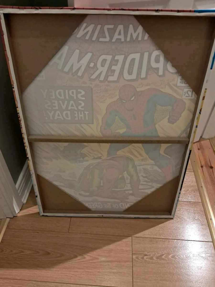 Spiderman Picture - Image 3
