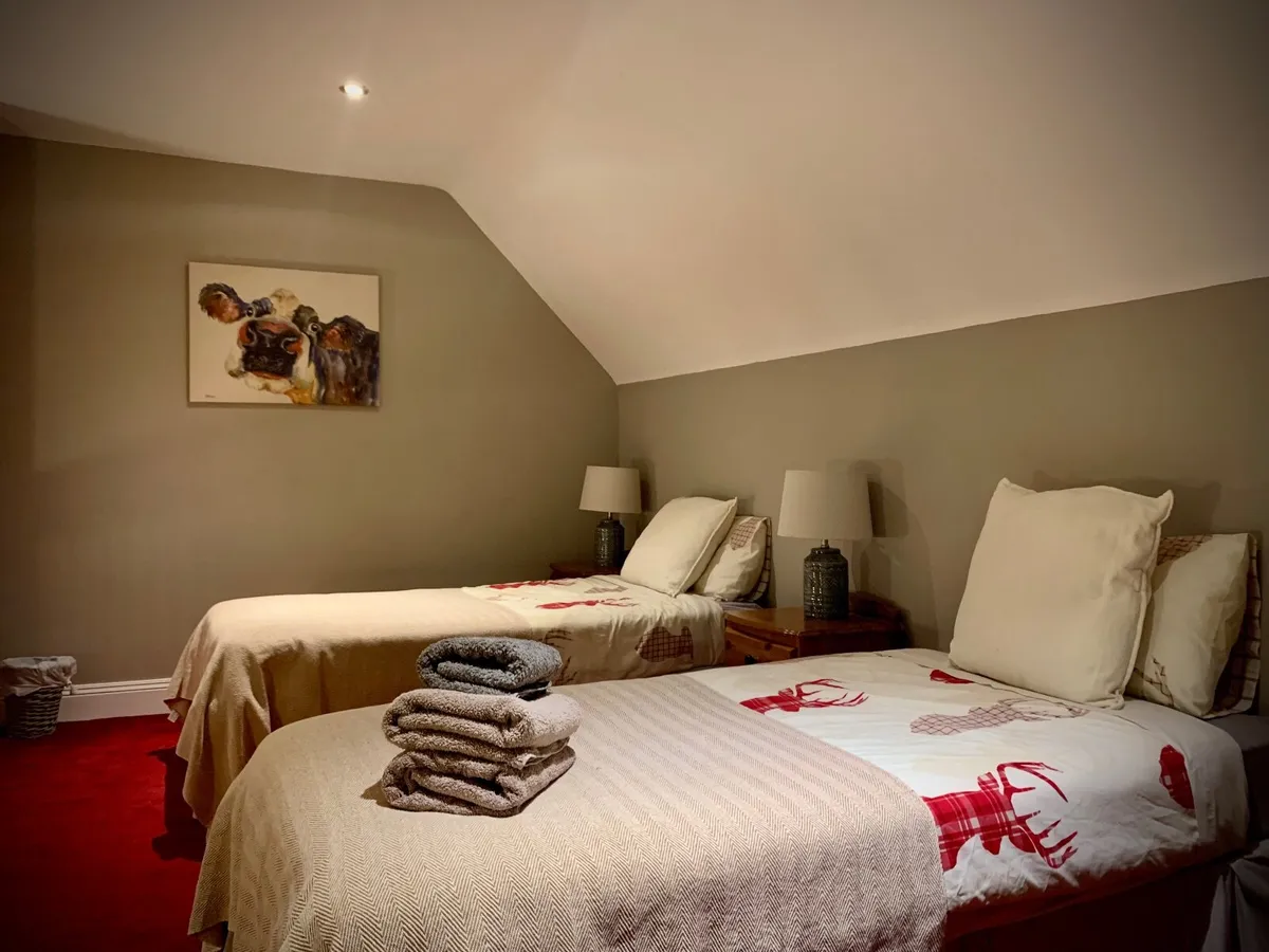 Two Single Beds - Image 1