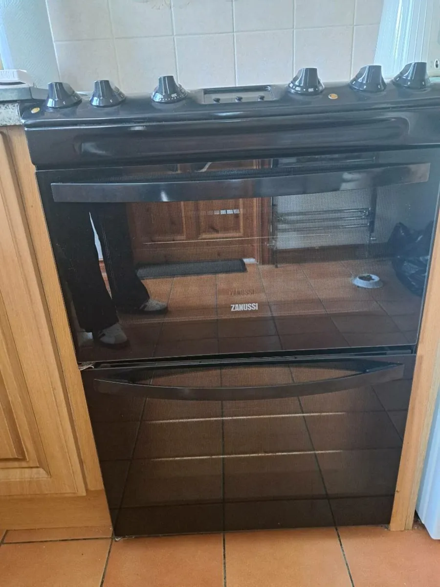 Electric Cooker - Image 2