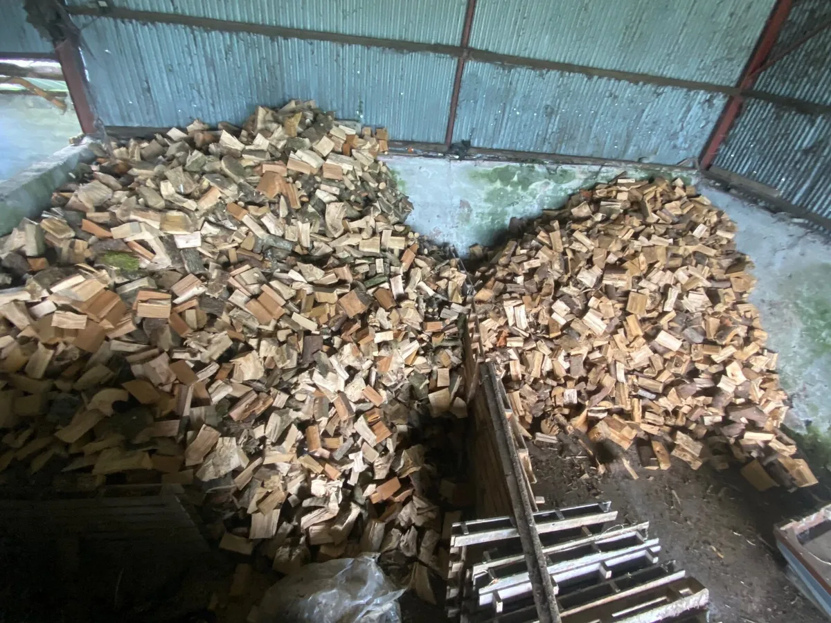 Firewood - Image 2