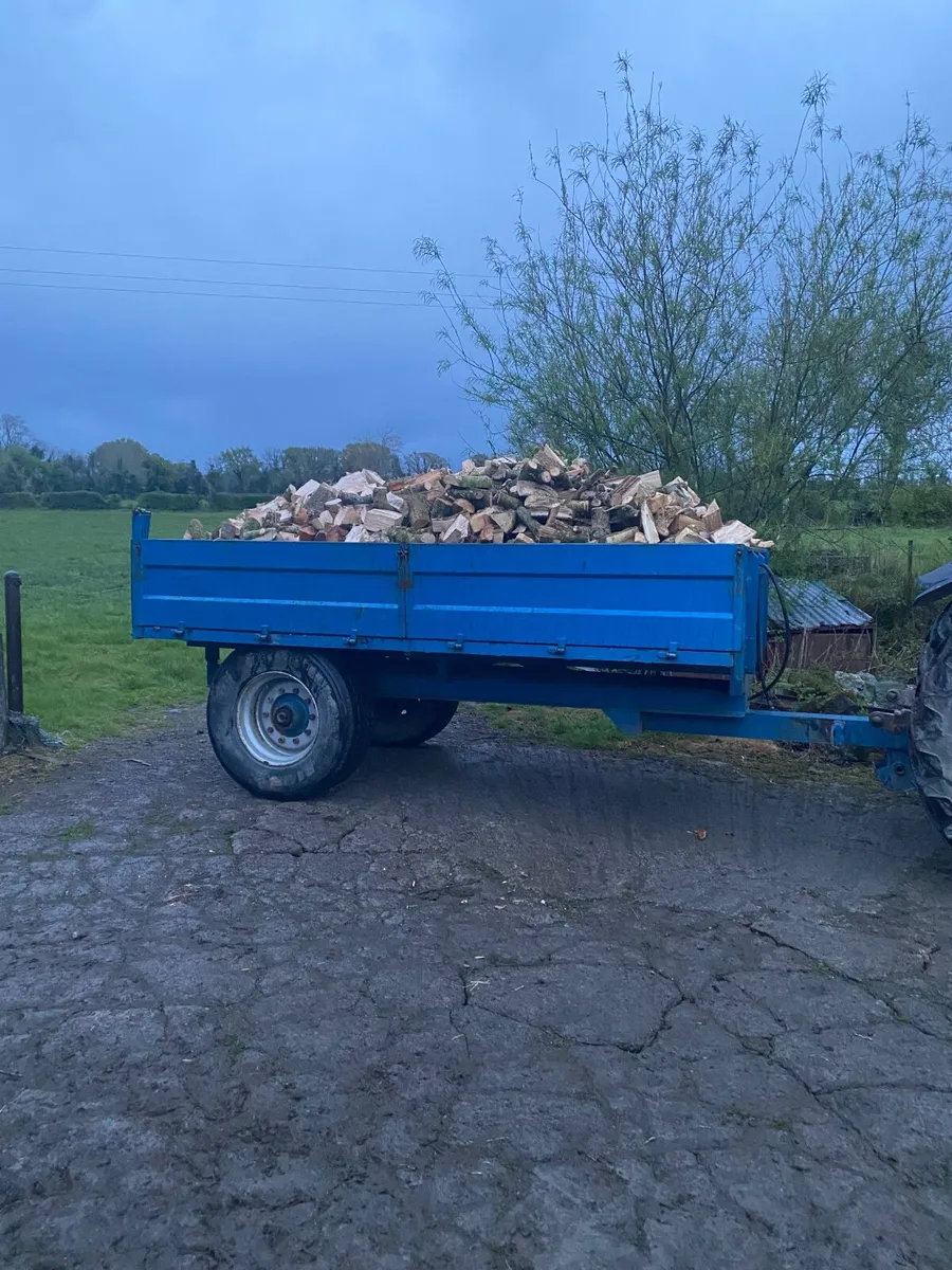 Firewood - Image 3