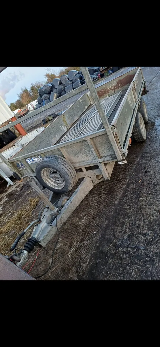 IFOR WILLIAMS 12X6 - Image 4