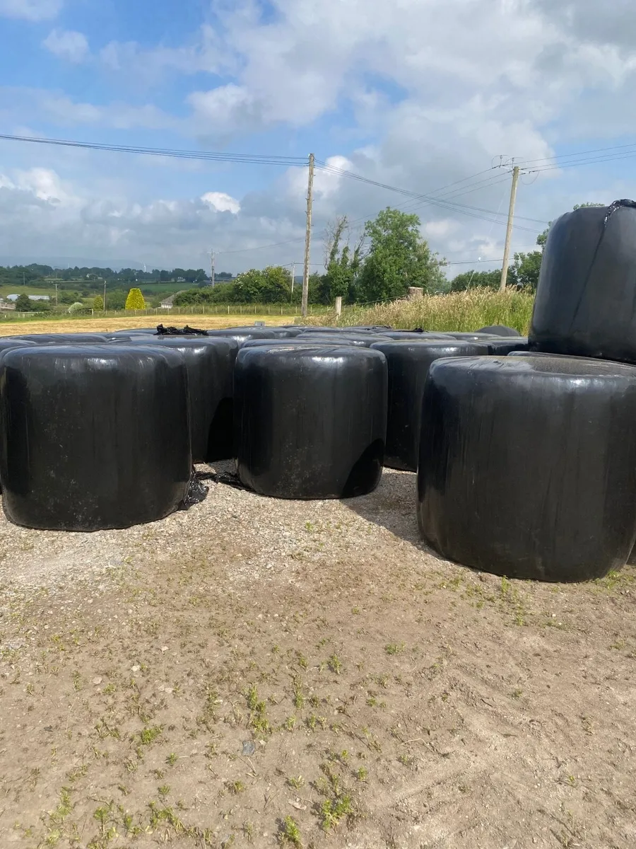 Round bales silage - Image 1
