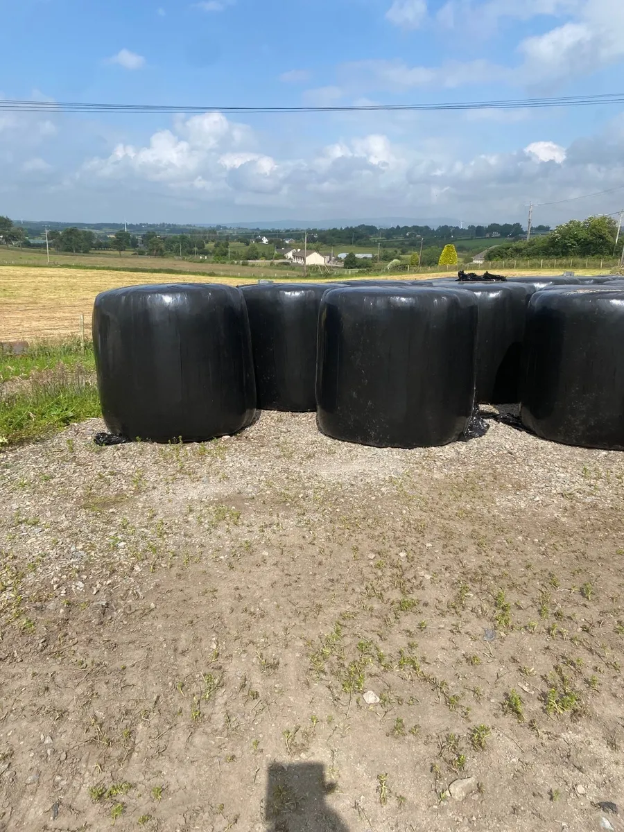 Round bales silage - Image 2